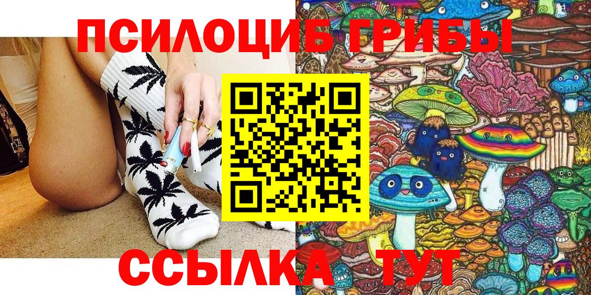 Псилоцибиновые грибы мицелий Ессентуки