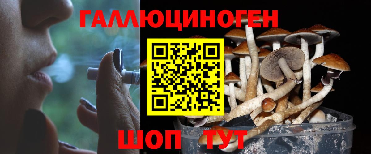Галлюциногенные грибы GOLDEN TEACHER  Вход с VPN  наркошоп  Ессентуки 